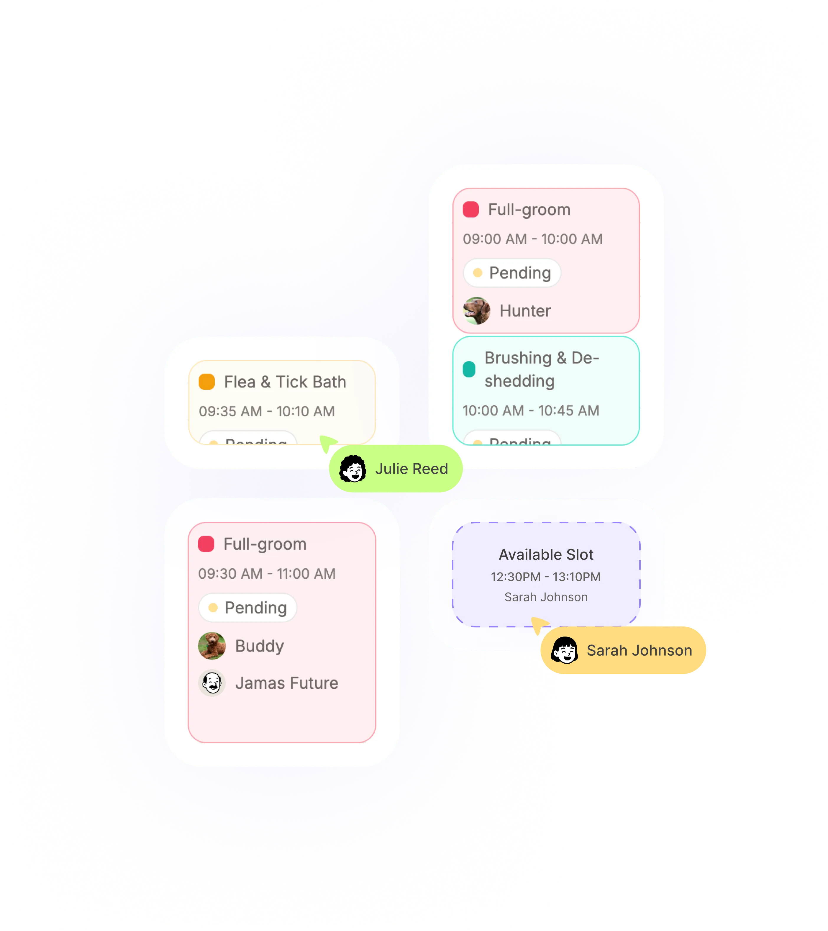 Tailly pet grooming management software dashboard
